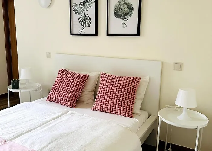 Casa Do Sol E Vinho * Ourilhe